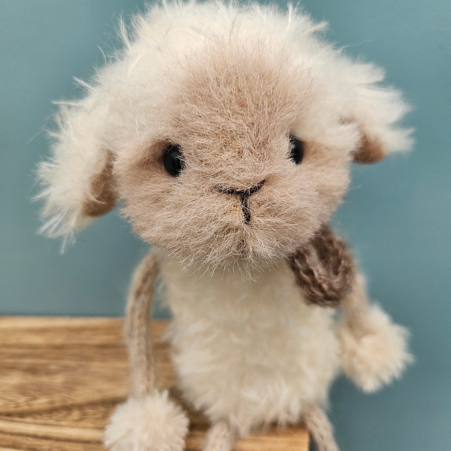 Lamb Shelf Sitter #2