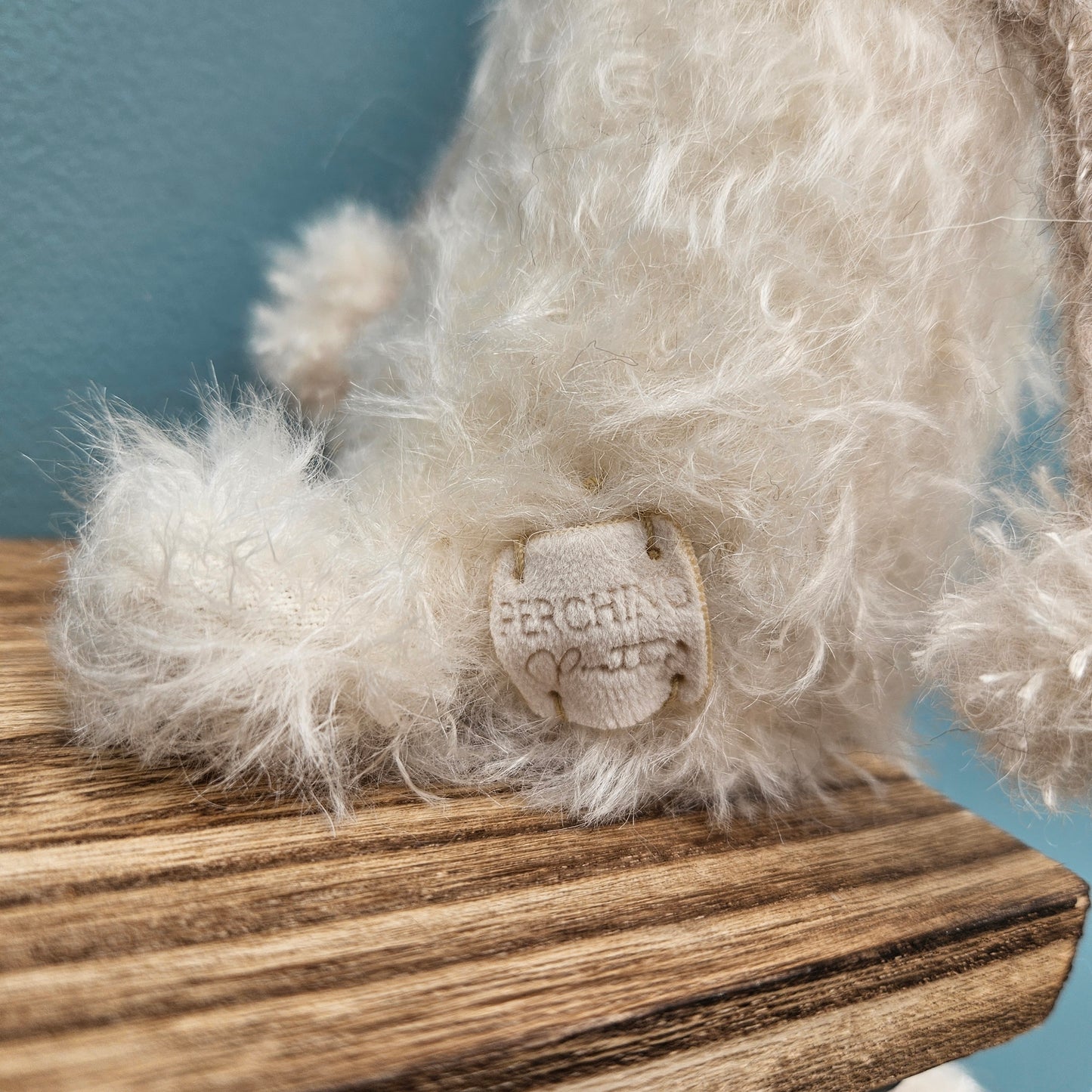 Lamb Shelf Sitter #1